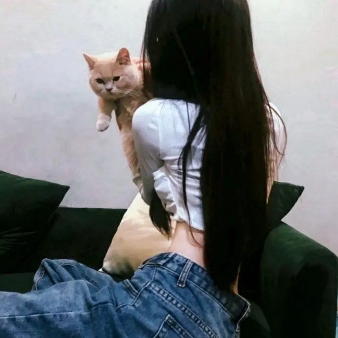 星光继承者2